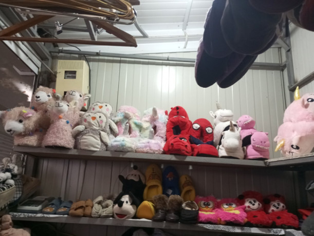 bolsoi-vybor-obuvi-zvonite-079765375-067406247-oksana-big-5